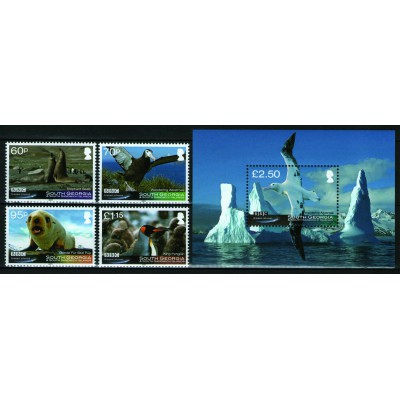 Fauna Animales Polares